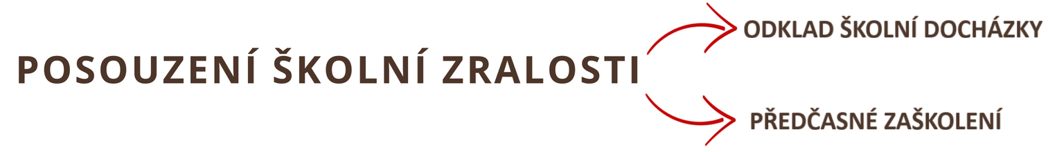 skolni zralost